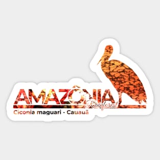 Amazonia Rainforest   Bird Collection Sticker